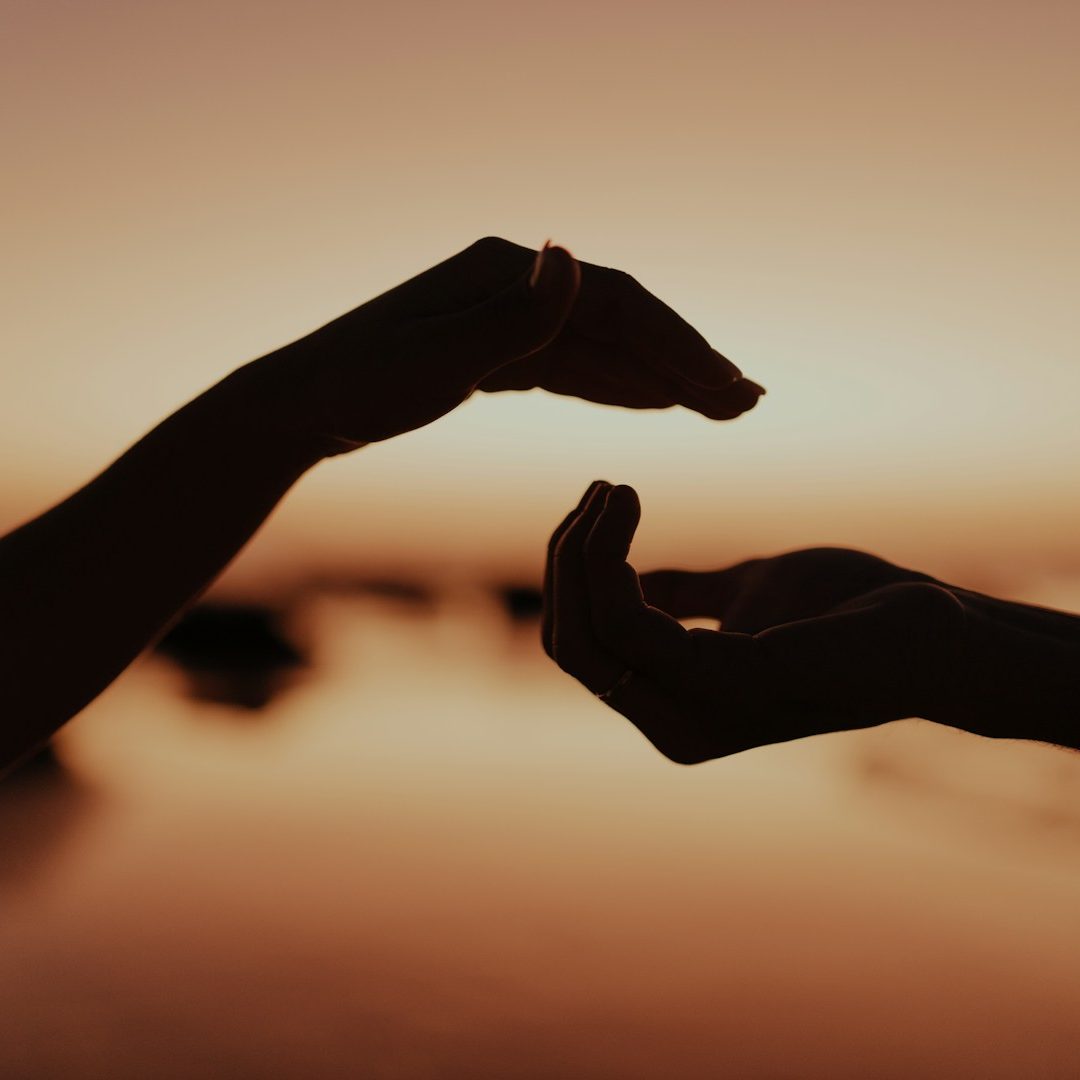 Panneaux de signalisation multilingues avec des noms de commerces et de plats.